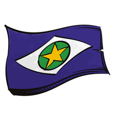 Painted Mato Grosso Flag Waving In Wind