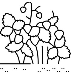 Strawberry Bush Plant Line Icon