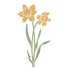 Daffodil Flowers Cut Out