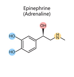 Chemical Formula Epinephrine Diagram Science