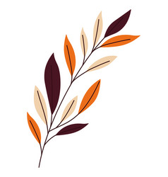 Fall Branch Design