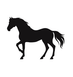 Horse Black Icon On White Background Horse