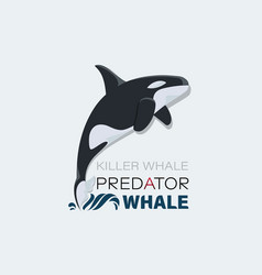 Killer Whale Predator