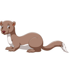 Cute Ferret Cartoon On White Background