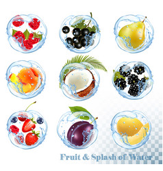 Big Collection Fruit In A Water Splash