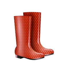 Realistic Rubber Boots