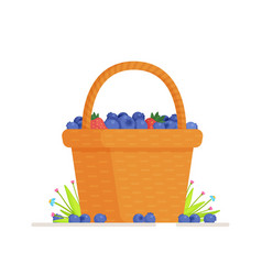 An Blueberry Basket