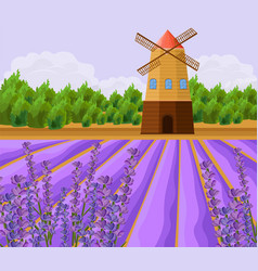 Mill And Lavender Fields Background