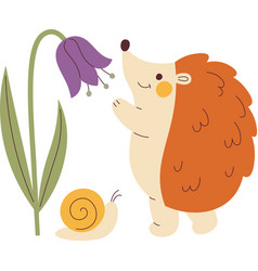 Hedgehog With Flower And Snail