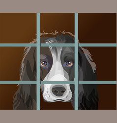 Lonely Dog With Sad Eyes Behind Bars