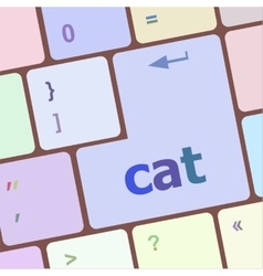 Cat Word On Computer Pc Keyboard Key