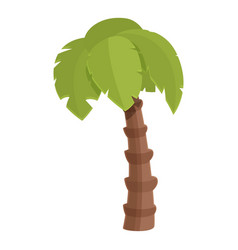 Qatar Palm Tree Icon Cartoon Independence