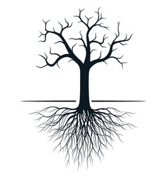 Black Apple Tree With Roots Outline