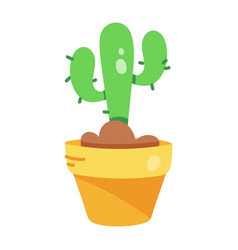 Cactus Pot