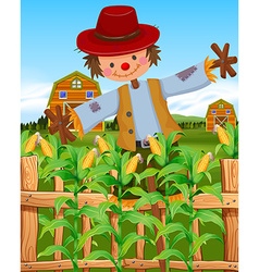 Scarecrow In The Corn Field