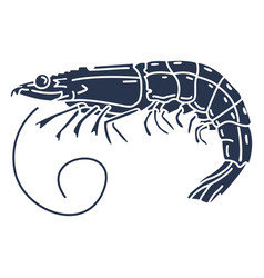 Silhouette Prawn Animal