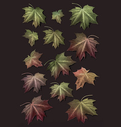 Hand Drawn Autumn Maple Leaf Collection