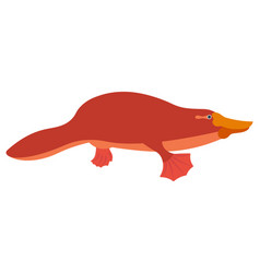 Platypus