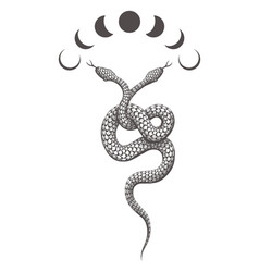 Two Headed Snake And Phases Of Moon Esoteric