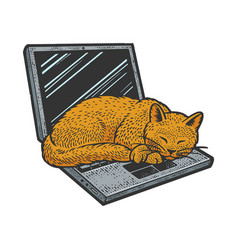 Cat Sleeping On Laptop Sketch