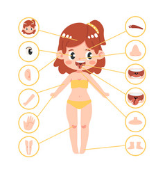 Kid Girl Body Part Anatomy