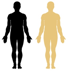 Human Body Vector Images (over 160,000)