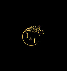 Ii Nature Theme Logo Initial Concept With High