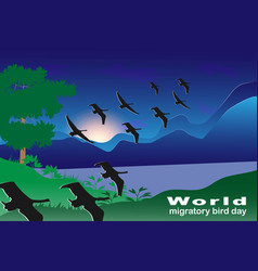 World Migratory Bird Day