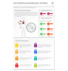 Endocannabinoid System Vertical Business