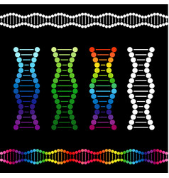 Dna Colored