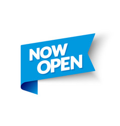 Now Open Corner Flag Modern Blue Web Banner