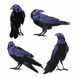 Crow Set Raven Set