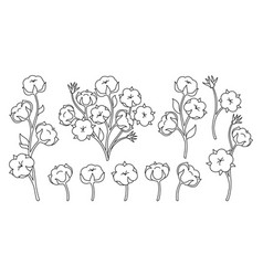 Cotton Flower Branch Doodle Line Set Blossom