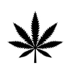 Logo marijuana leaf isolated on white background Vector Image