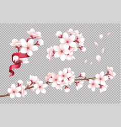 Cherry Flowers Background