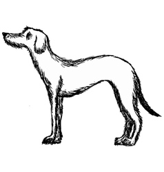 Deerhound