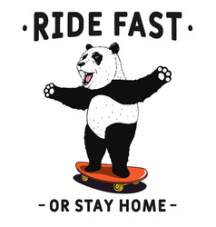 Panda Rides On Skateboard