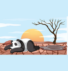 Deforestation Scene With Dying Panda