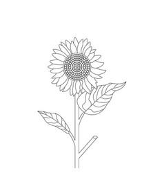 Sunflower Coloring Book For Kids