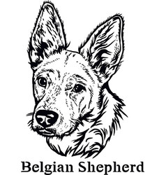 Belgian Shepherd - Funny Dog File Cut