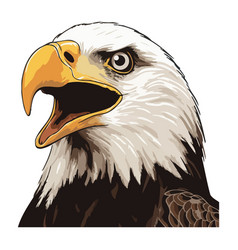 Bald Eagle Screaming With Aggression Flying High