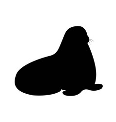 Dark Silhouette Of Walrus