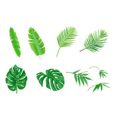 Tropical Background Hand-painted Leaves