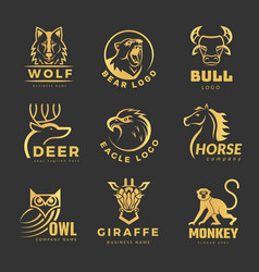 Animals Logo Business Identity Symbols