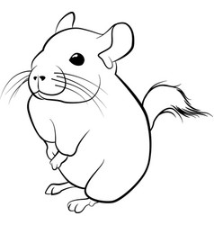 Cute Chinchilla Line Art Black