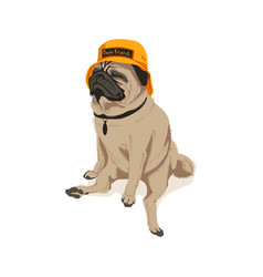 Cute Pug Dog Pet In Yellow Panama Hat