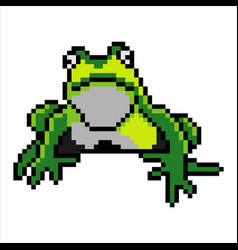 Frog With Pixel Art