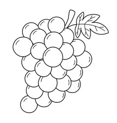 Grapes Fruit Isolated Coloring Page For Kids