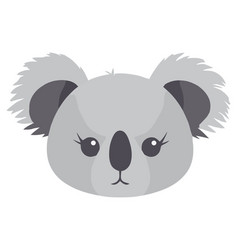 Koala Design