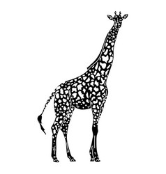 Giraffe Side View Silhouette